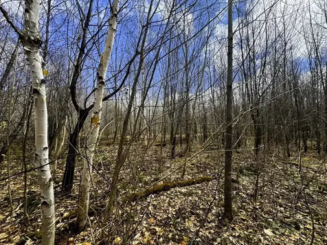 0 Burke Green Road Burke VT 05832