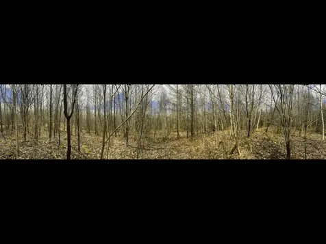 0 Burke Green Road Burke VT 05832