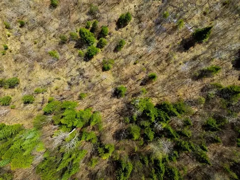 0 Burke Green Road Burke VT 05832