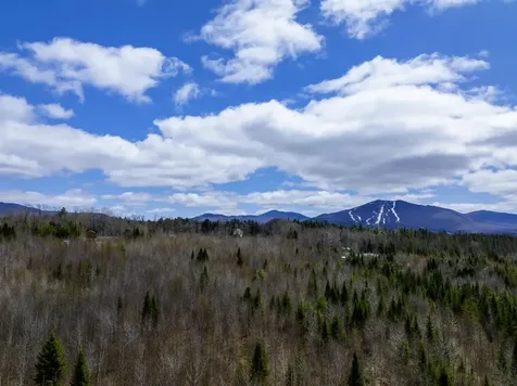 0 Burke Green Road Burke VT 05832