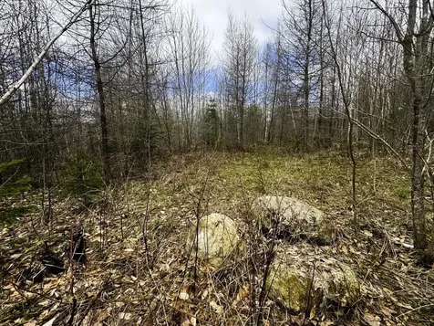 0 Burke Green Road Burke VT 05832