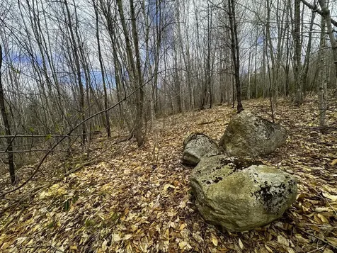 0 Burke Green Road Burke VT 05832