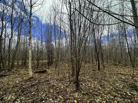 0 Burke Green Road Burke VT 05832