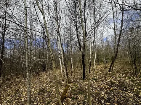 0 Burke Green Road Burke VT 05832