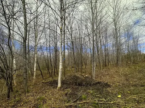 0 Burke Green Road Burke VT 05832