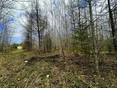 0 Burke Green Road Burke VT 05832