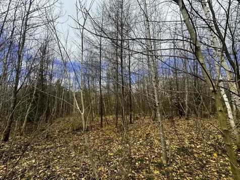 0 Burke Green Road Burke VT 05832