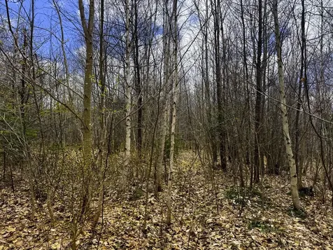 0 Burke Green Road Burke VT 05832