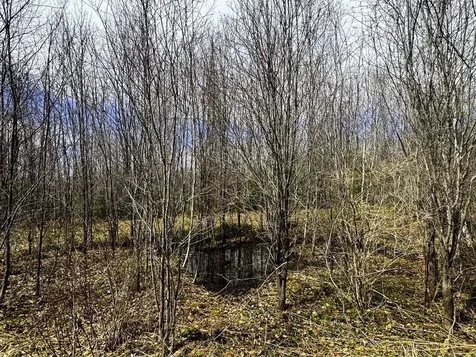 0 Burke Green Road Burke VT 05832