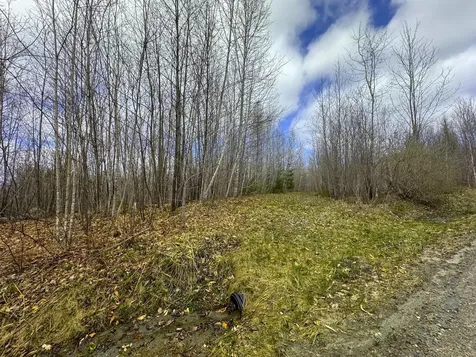 0 Burke Green Road Burke VT 05832