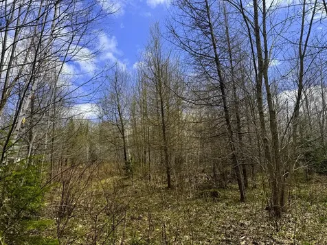 0 Burke Green Road Burke VT 05832