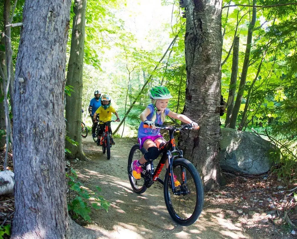 193 Jackson Gore Road Ludlow VT 05149