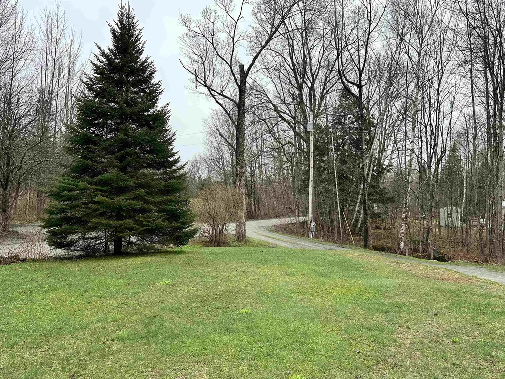 415 Buck Lake Road Woodbury VT 05681