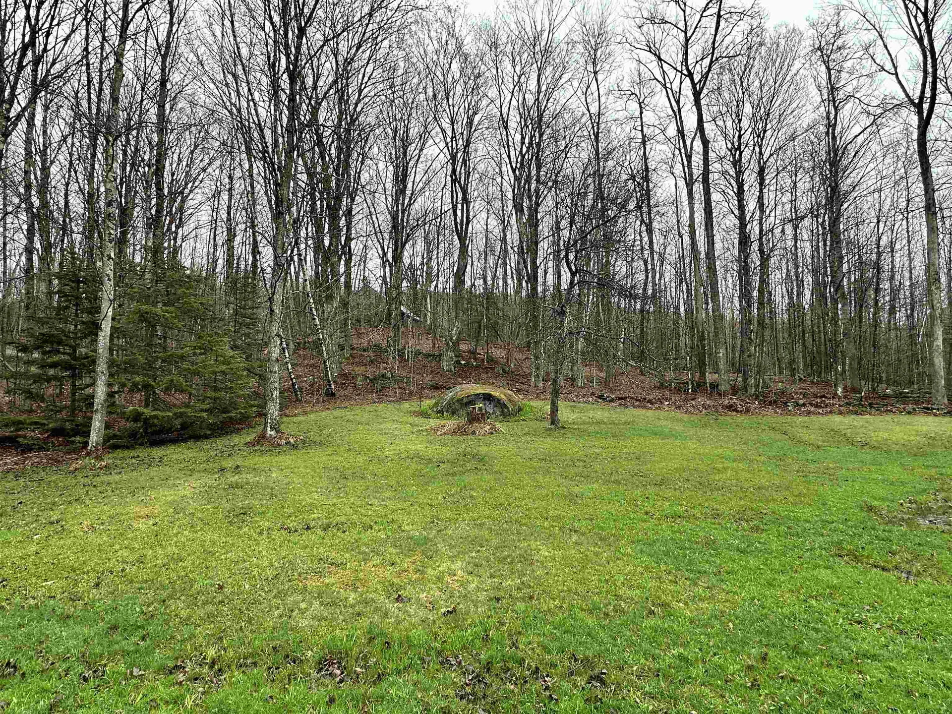 415 Buck Lake Road Woodbury VT 05681