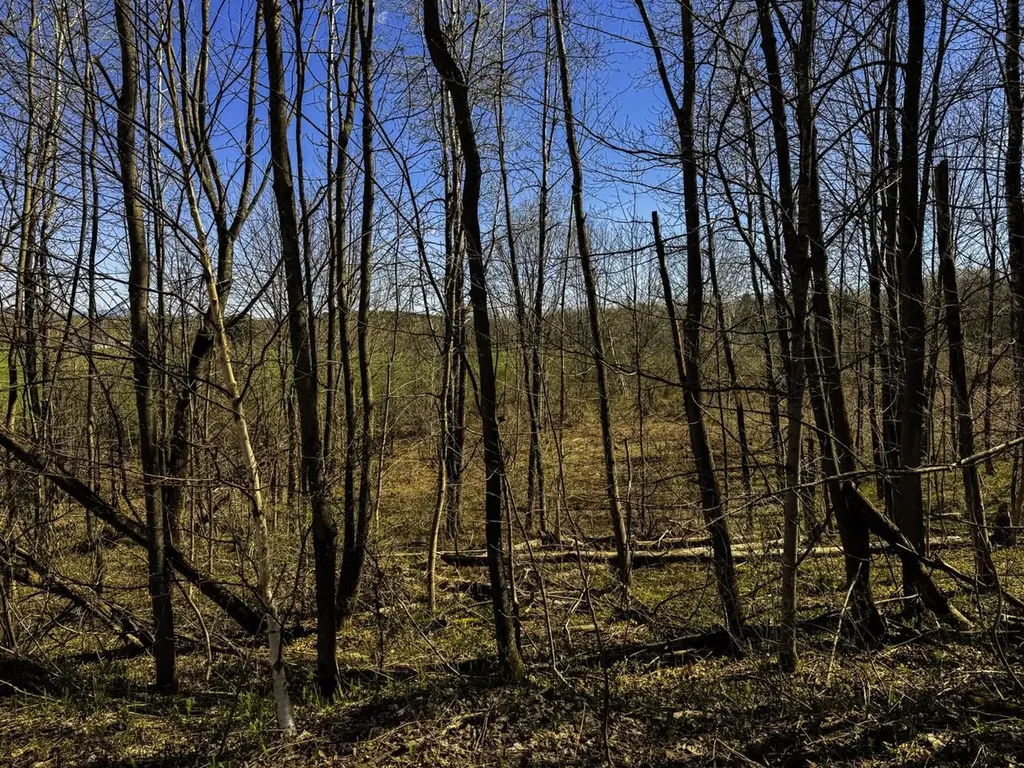 3003 Lake Road Newport Town VT 05857