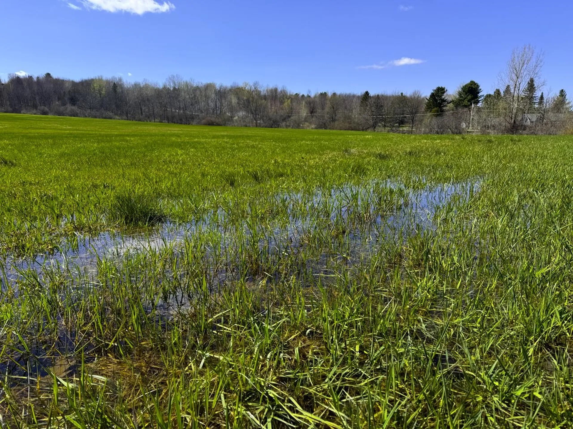 3003 Lake Road Newport Town VT 05857