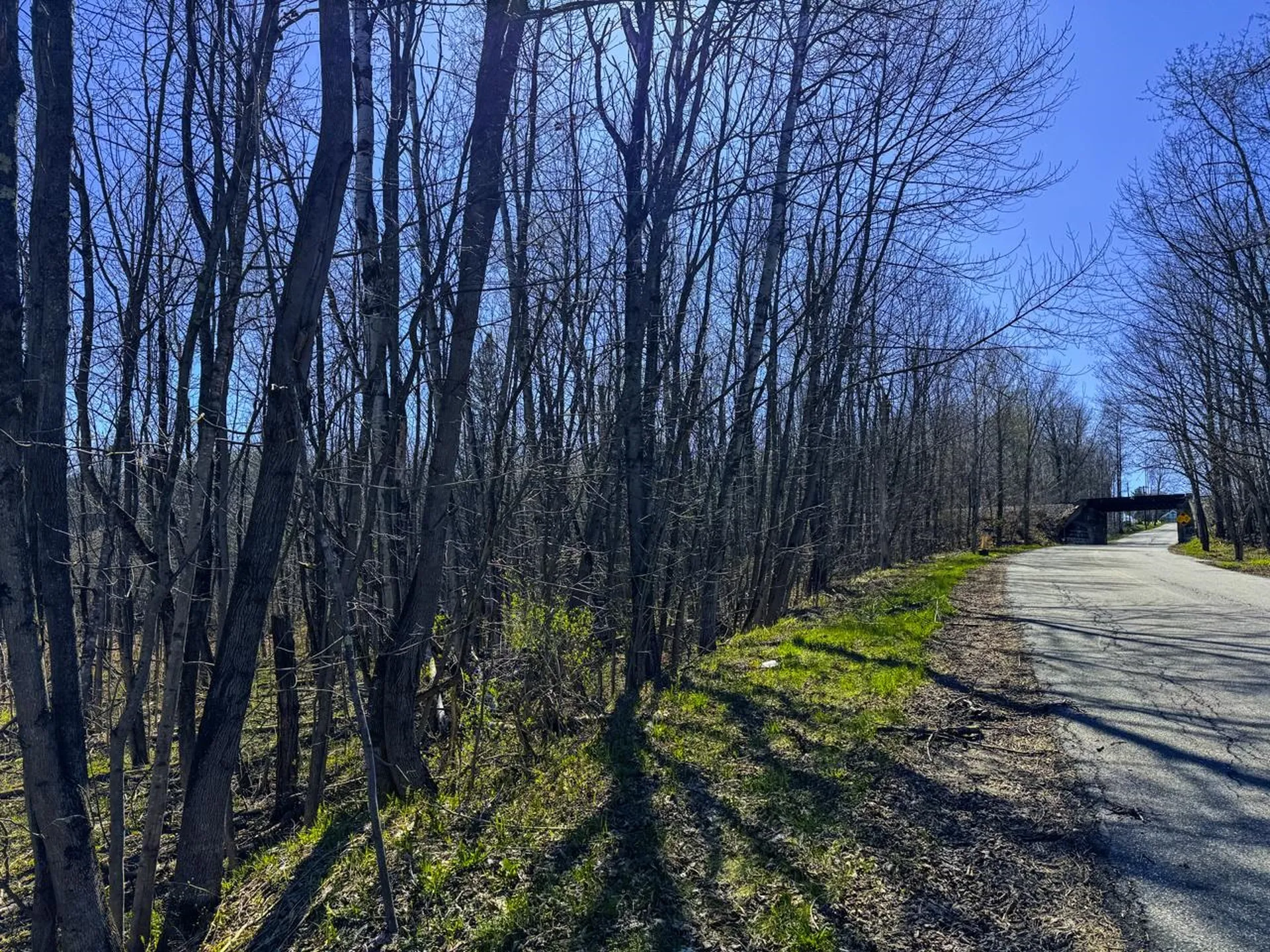 3003 Lake Road Newport Town VT 05857