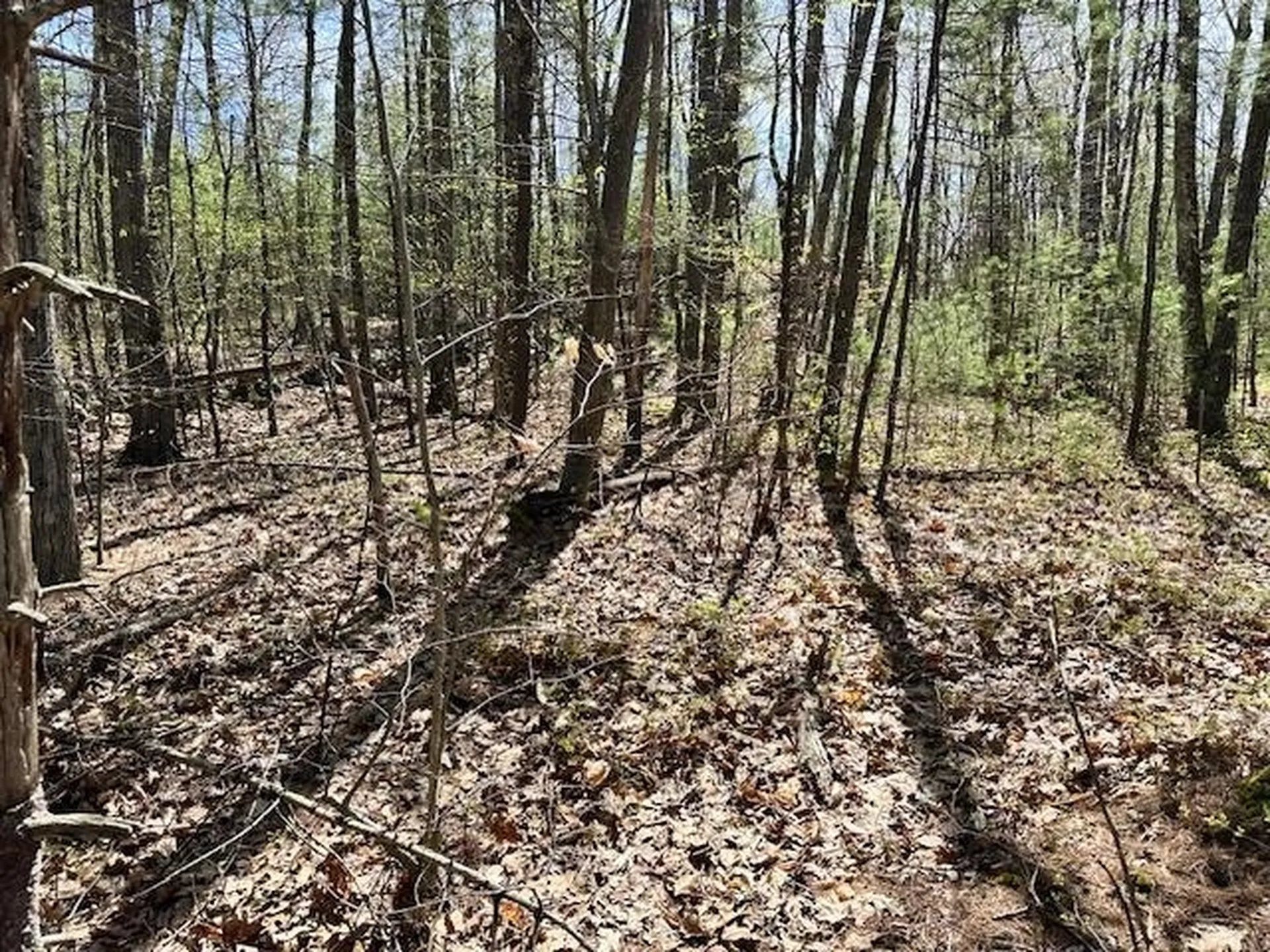 13 South Bow Dunbarton Road Bow NH 03304