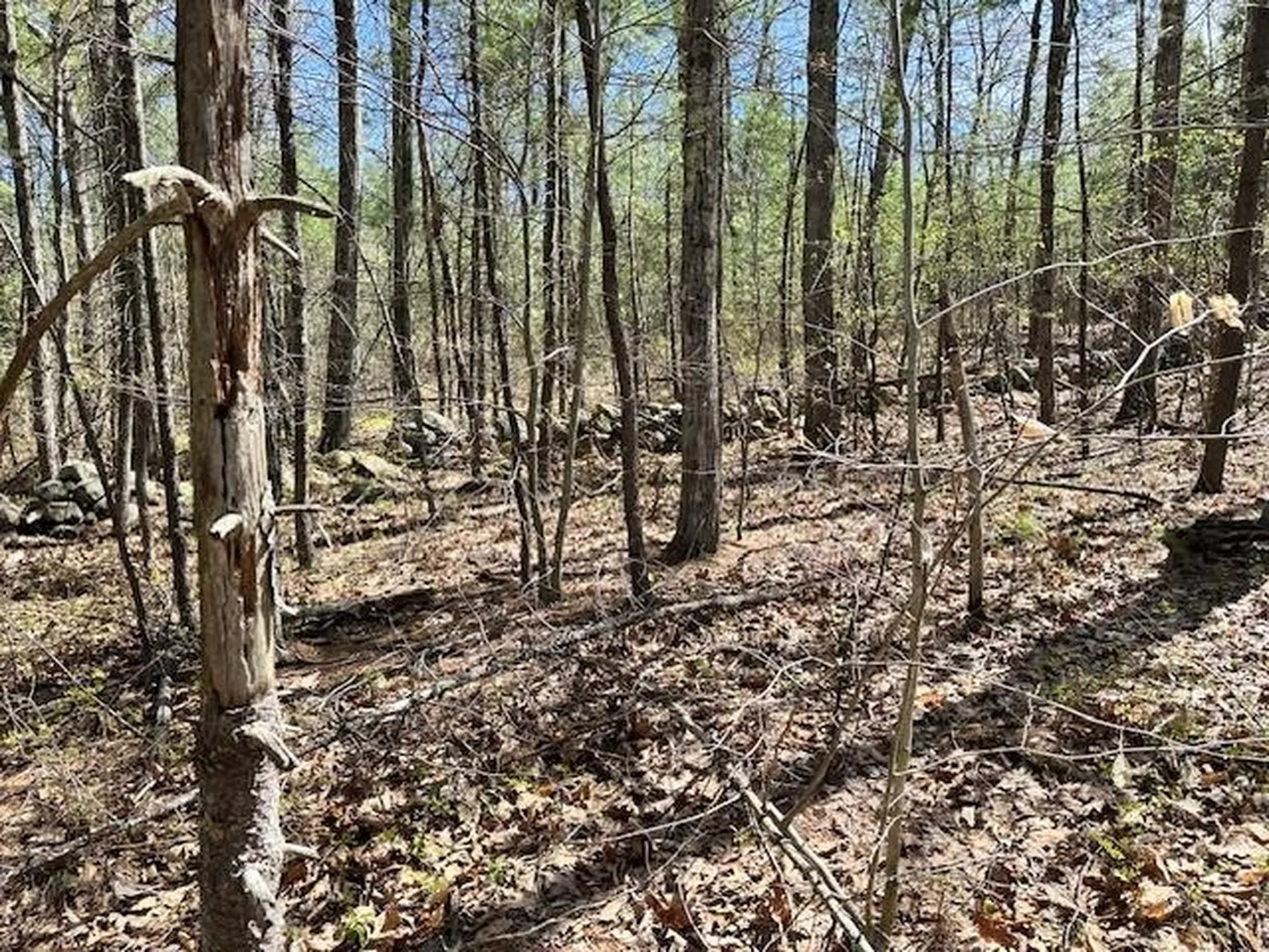 13 South Bow Dunbarton Road Bow NH 03304