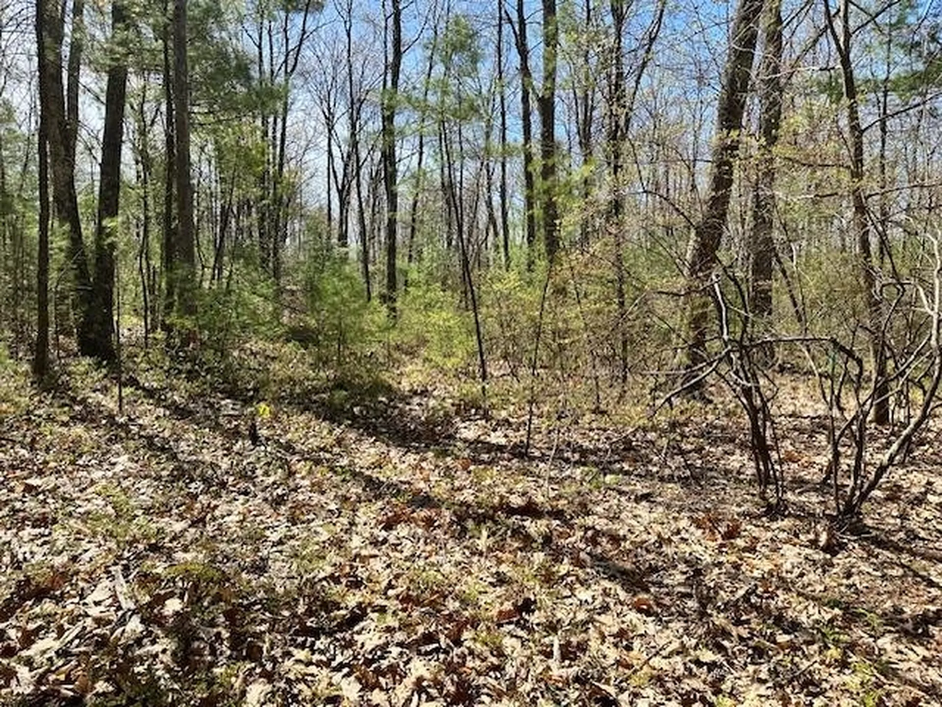 13 South Bow Dunbarton Road Bow NH 03304