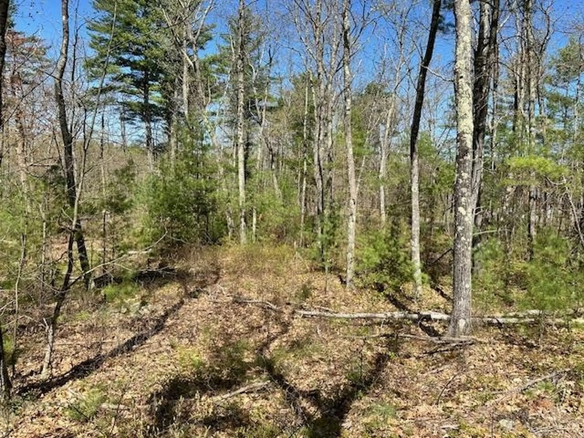 13 South Bow Dunbarton Road Bow NH 03304