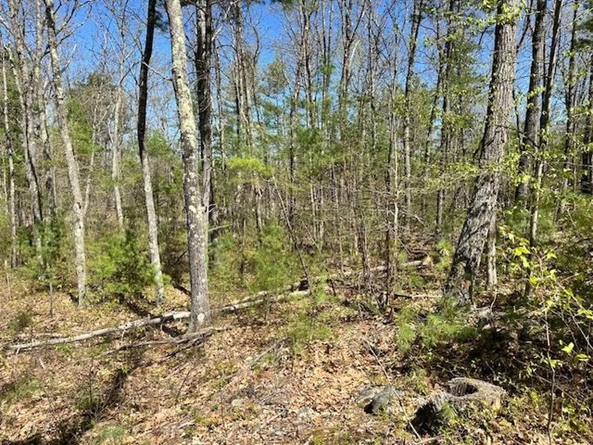 13 South Bow Dunbarton Road Bow NH 03304