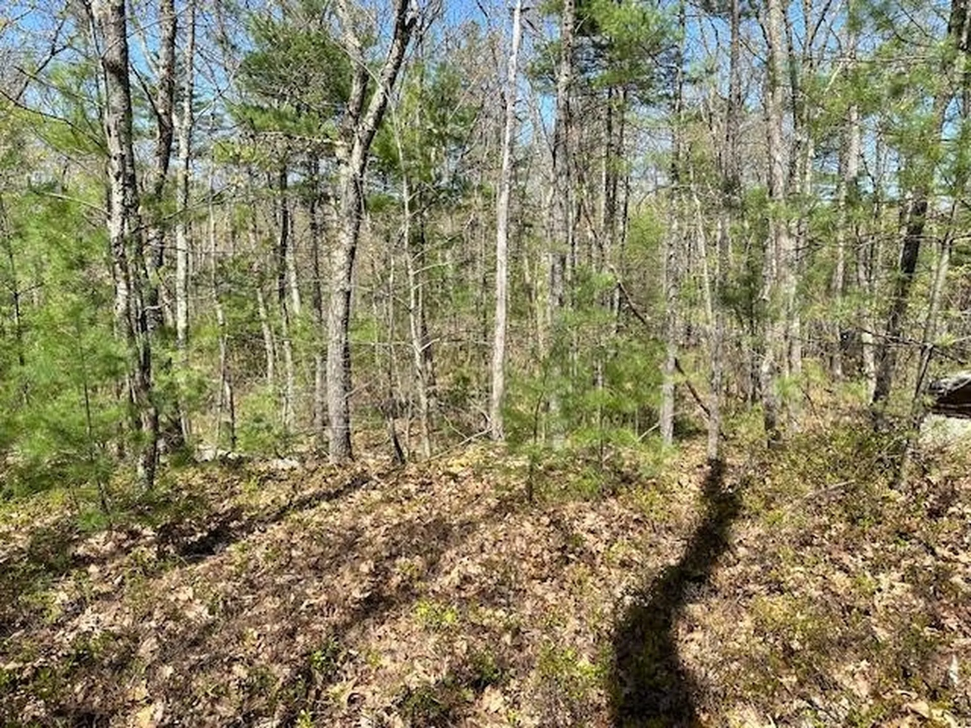 13 South Bow Dunbarton Road Bow NH 03304