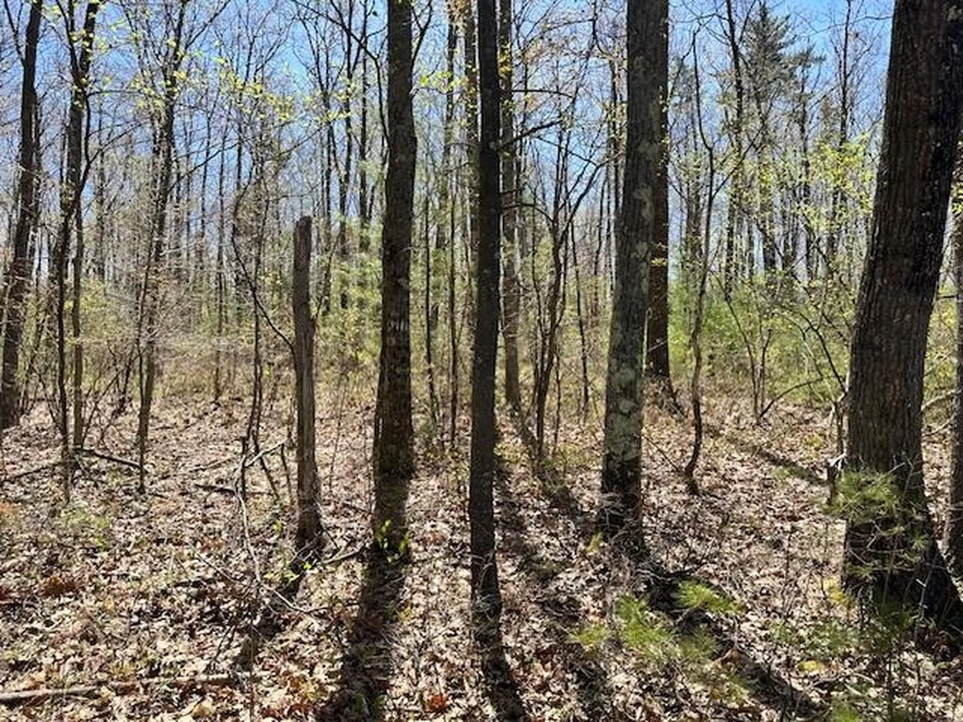 15 South Bow Dunbarton Road Bow NH 03304