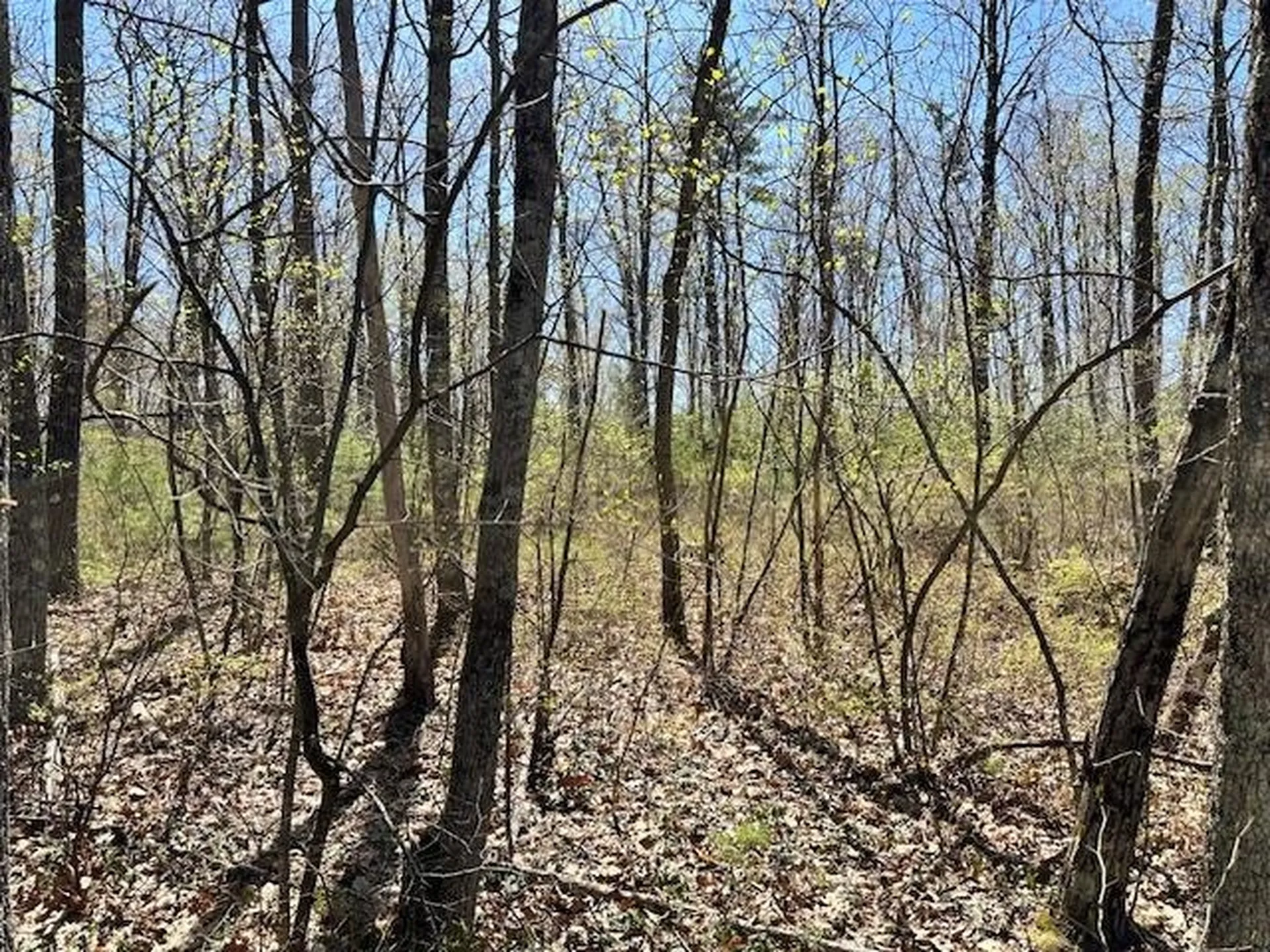 15 South Bow Dunbarton Road Bow NH 03304