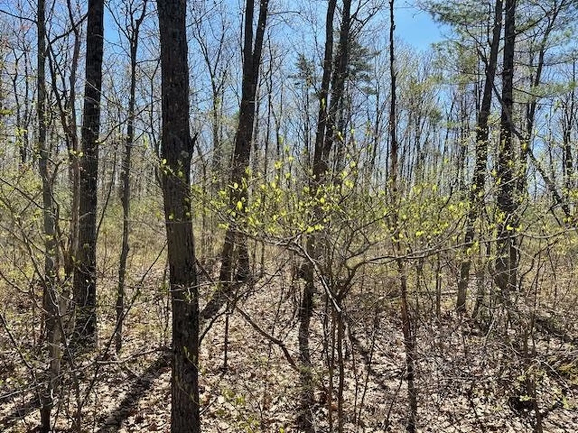 15 South Bow Dunbarton Road Bow NH 03304