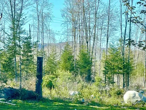 2870 Leonard Hill Road Concord VT 05824