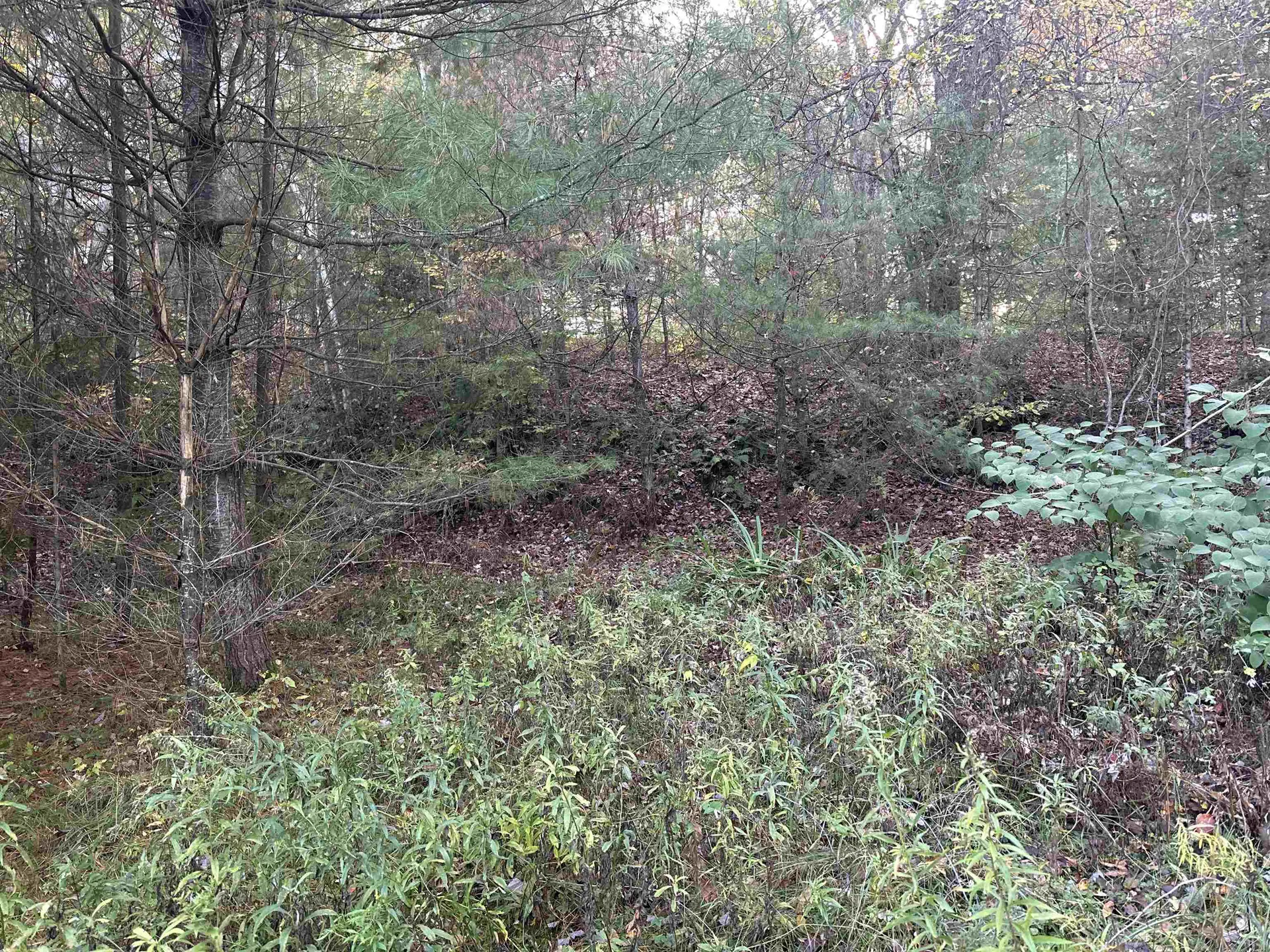 000 Hodge Hill Road Lisbon NH 03585