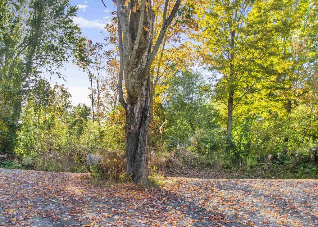 19 Orchard Street Newport City VT 05855