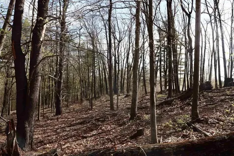 5-166 Kimball Hill Road Hillsborough NH 03244