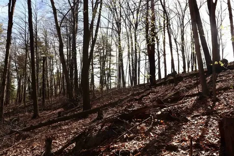 5-166 Kimball Hill Road Hillsborough NH 03244