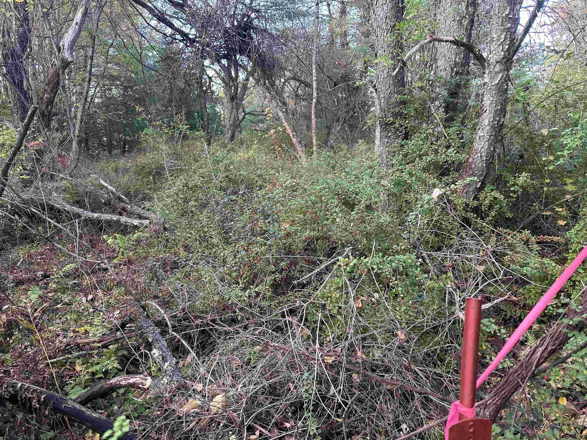 70 Hodge Hill Road Lisbon NH 03585