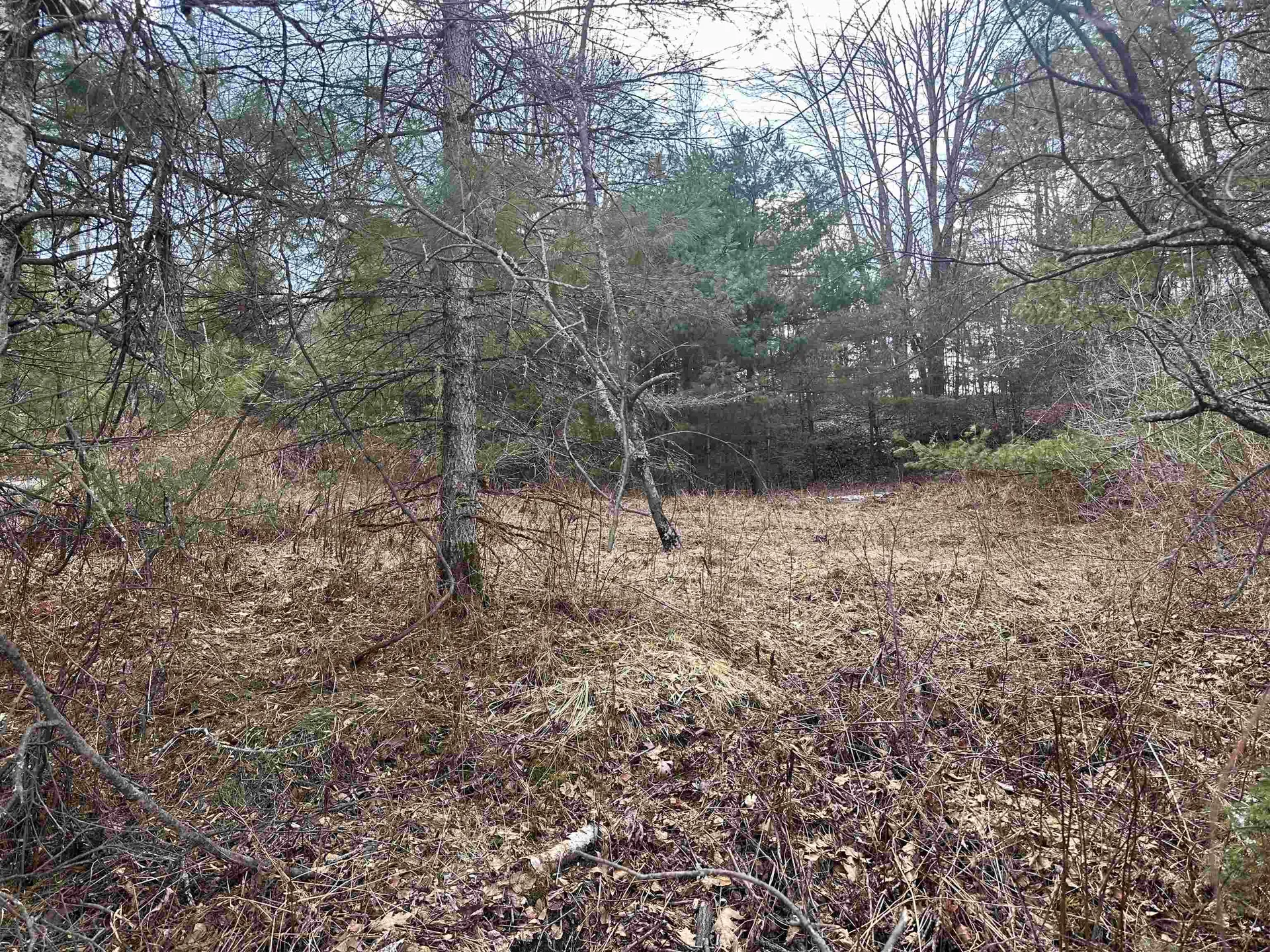 00 Hodge Hill Road Lisbon NH 03585