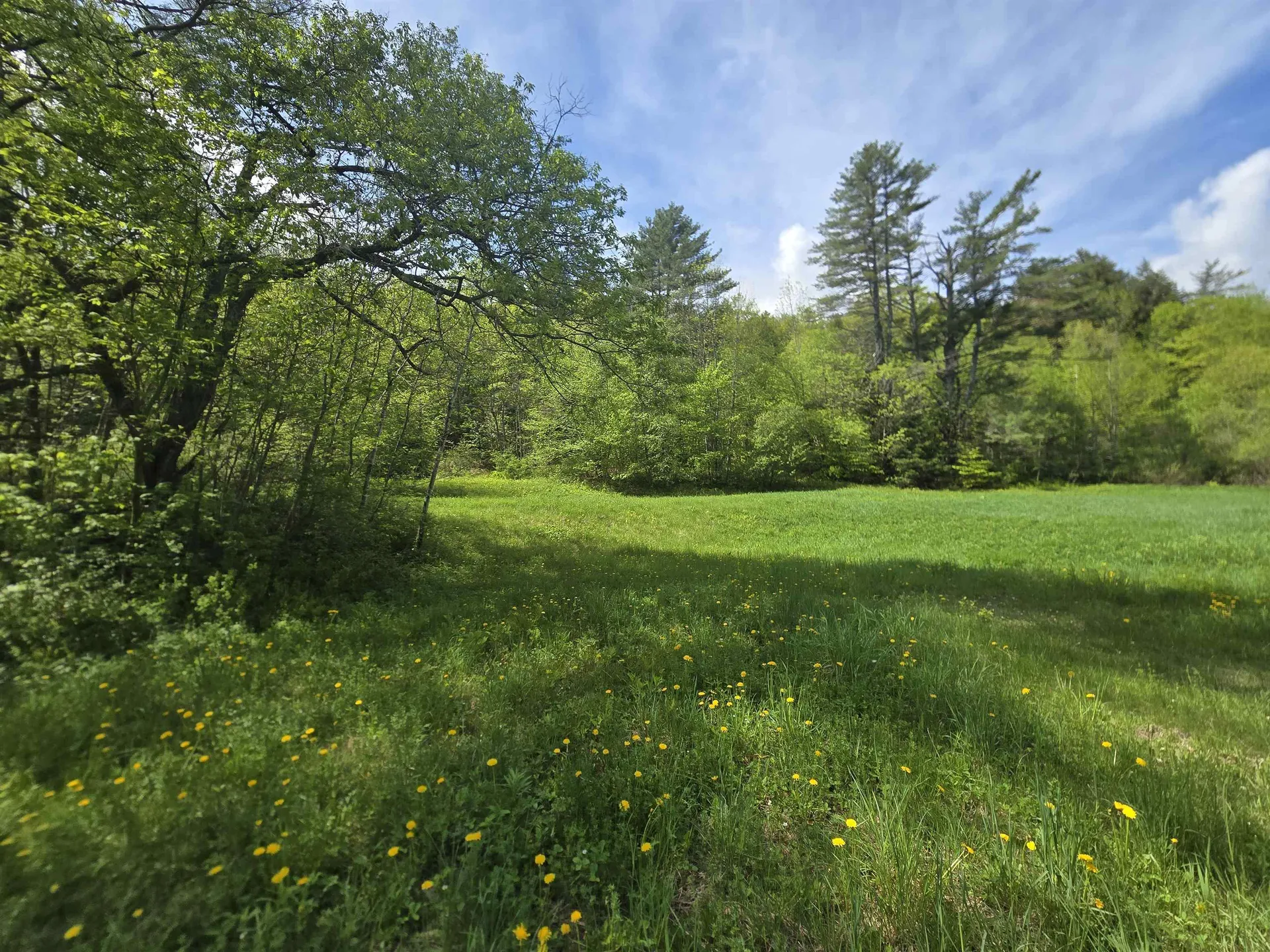 563 Simonsville Road Andover VT 05143