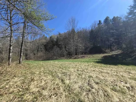 563 Simonsville Road Andover VT 05143