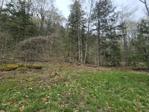 563 Simonsville Road Andover VT 05143