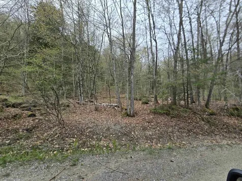 563 Simonsville Road Andover VT 05143
