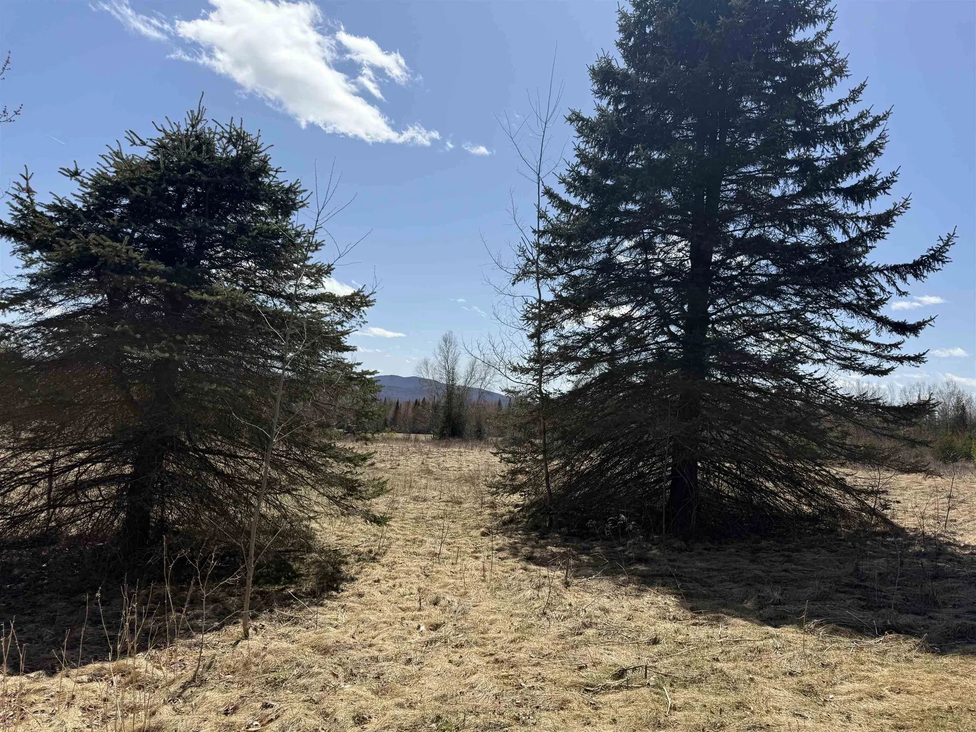 1340 Baptist Hill Road Lunenburg VT 05905