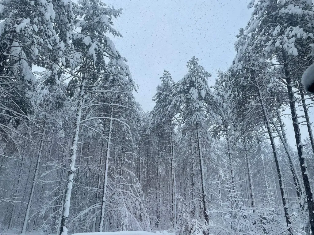 6 Christopher Street Fryeburg ME 04037