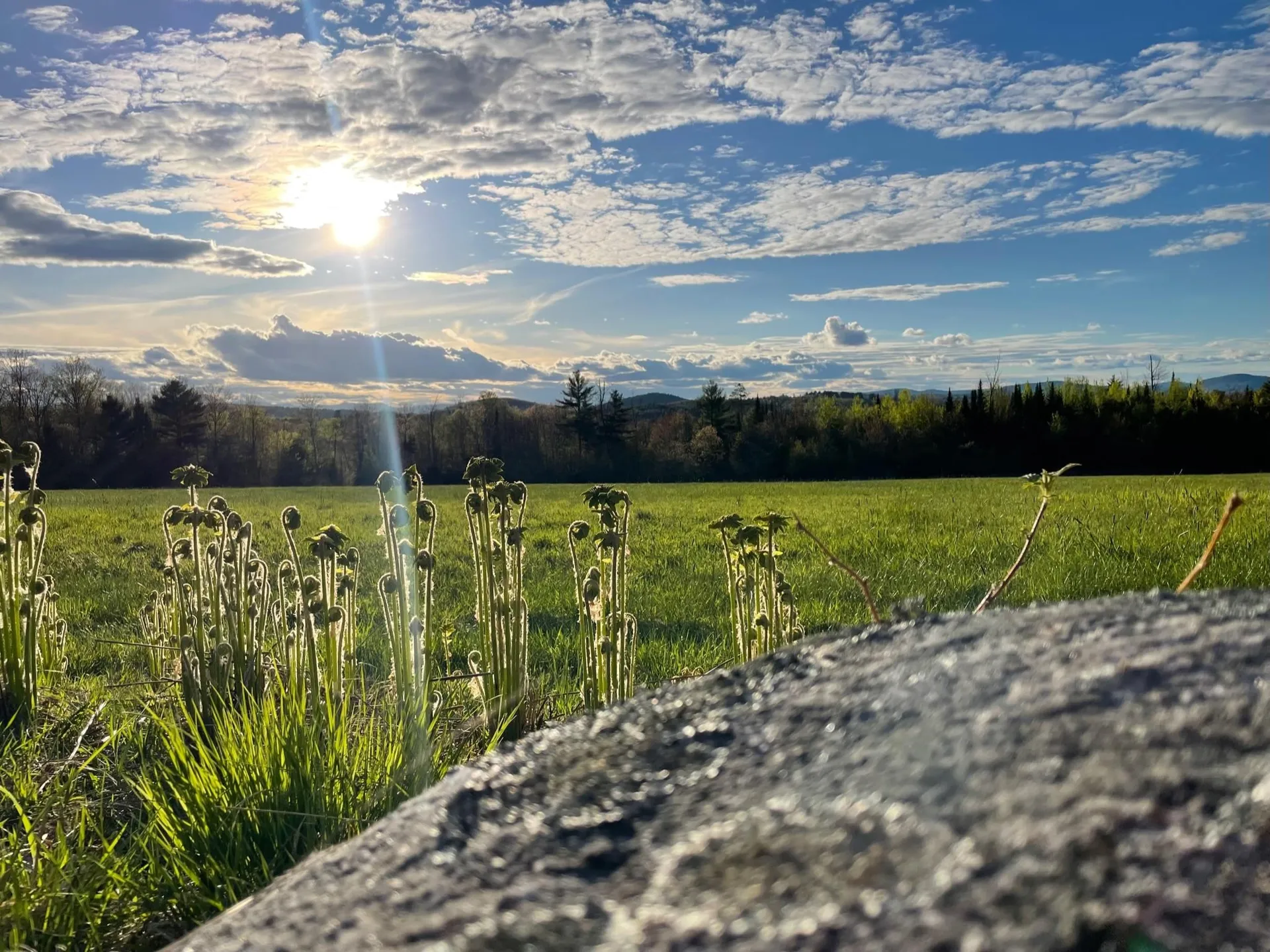 6 Christopher Street Fryeburg ME 04037