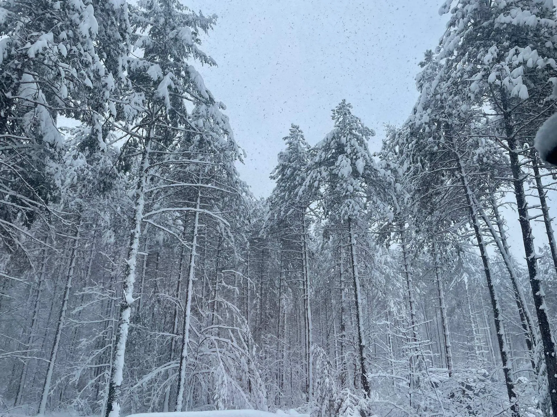 6 Christopher Street Fryeburg ME 04037