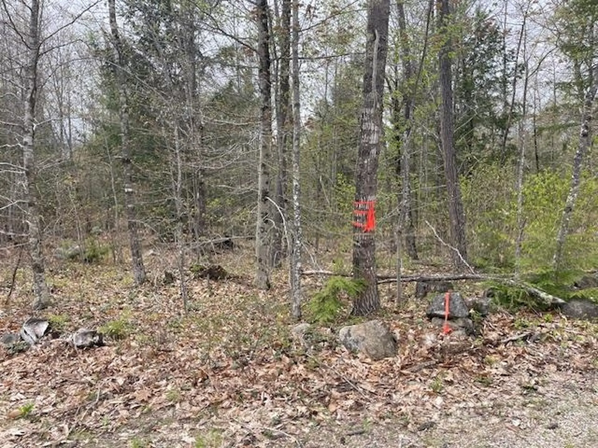 Lot 2 Leighton Corners Road Wakefield NH 03872