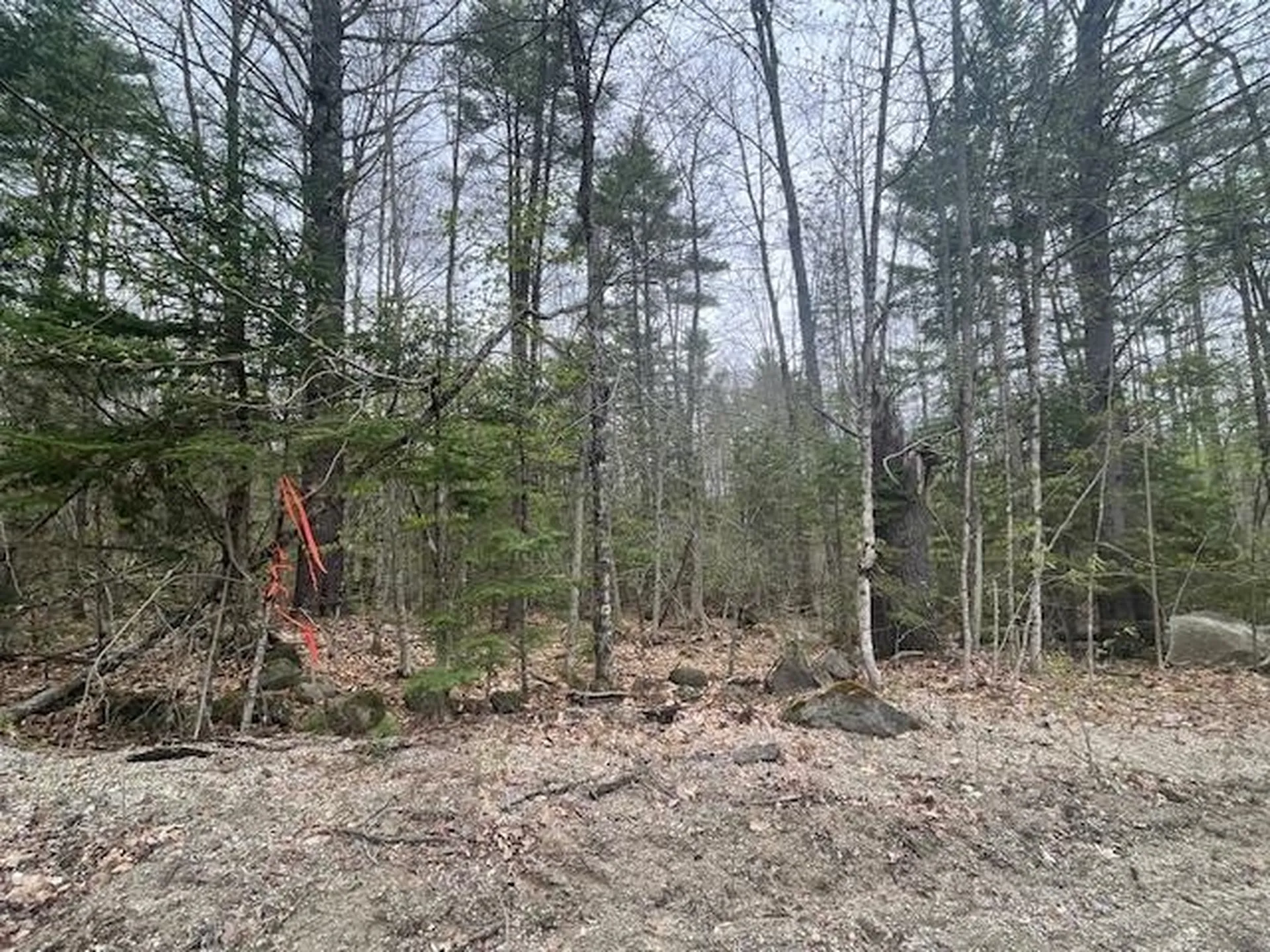 Lot 2 Leighton Corners Road Wakefield NH 03872