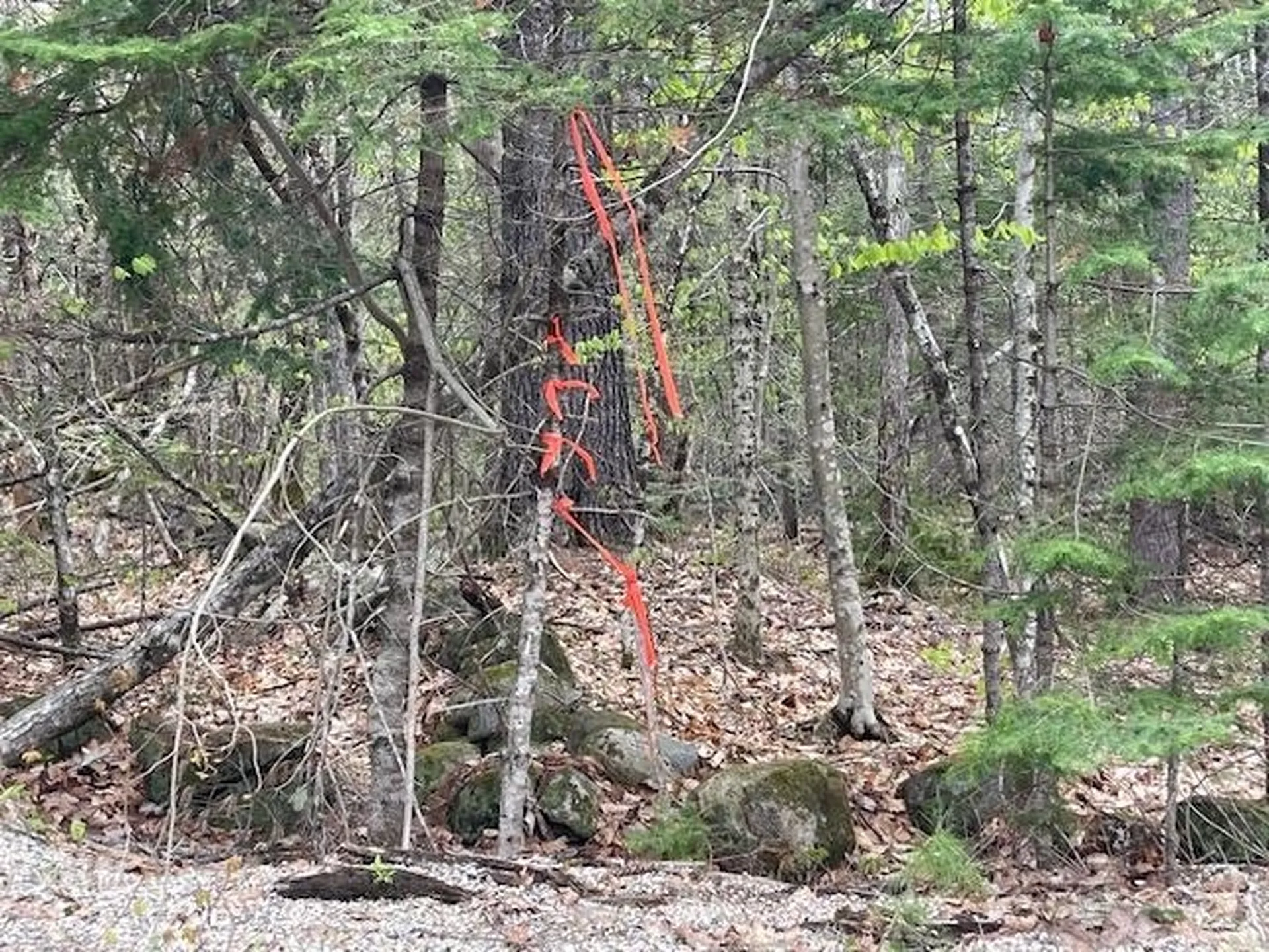 Lot 2 Leighton Corners Road Wakefield NH 03872