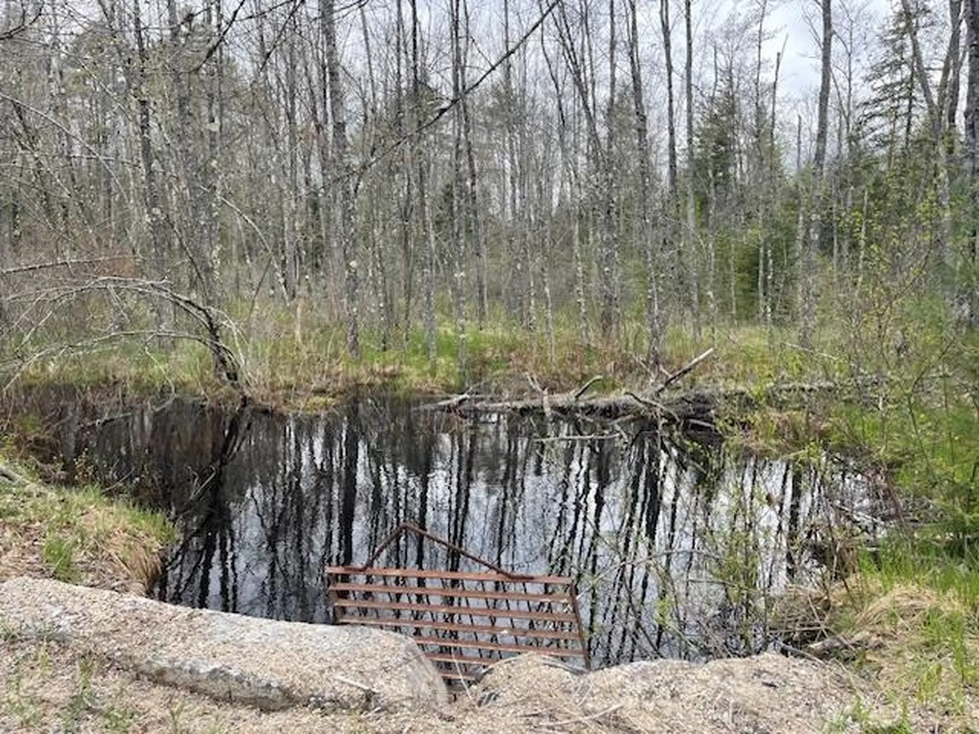 Lot 2 Leighton Corners Road Wakefield NH 03872