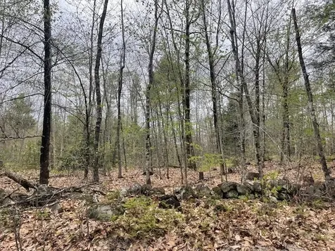 Lot 2 Leighton Corners Road Wakefield NH 03872